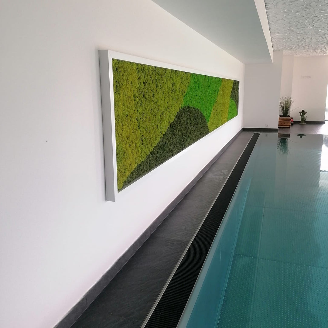 Premium green moss walls