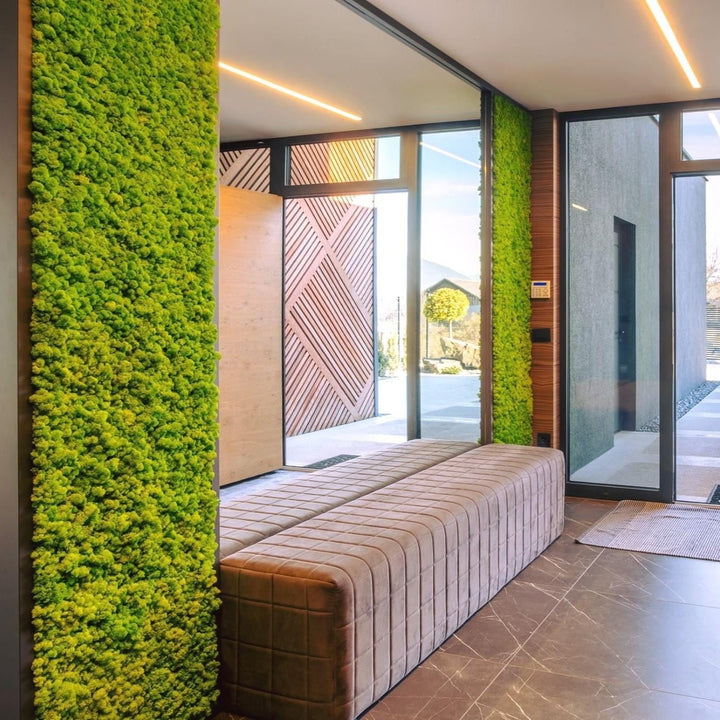 Premium green moss walls