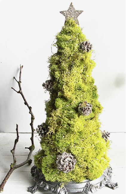 Moss diy