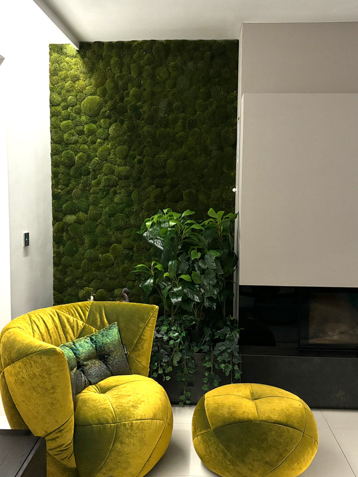 Premium green moss walls