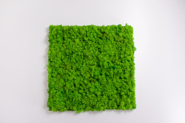 Green wall - Grass Green Light