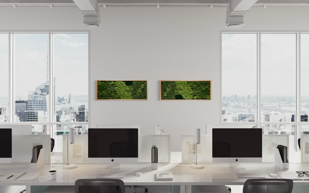 Premium moss picture_exhibition product