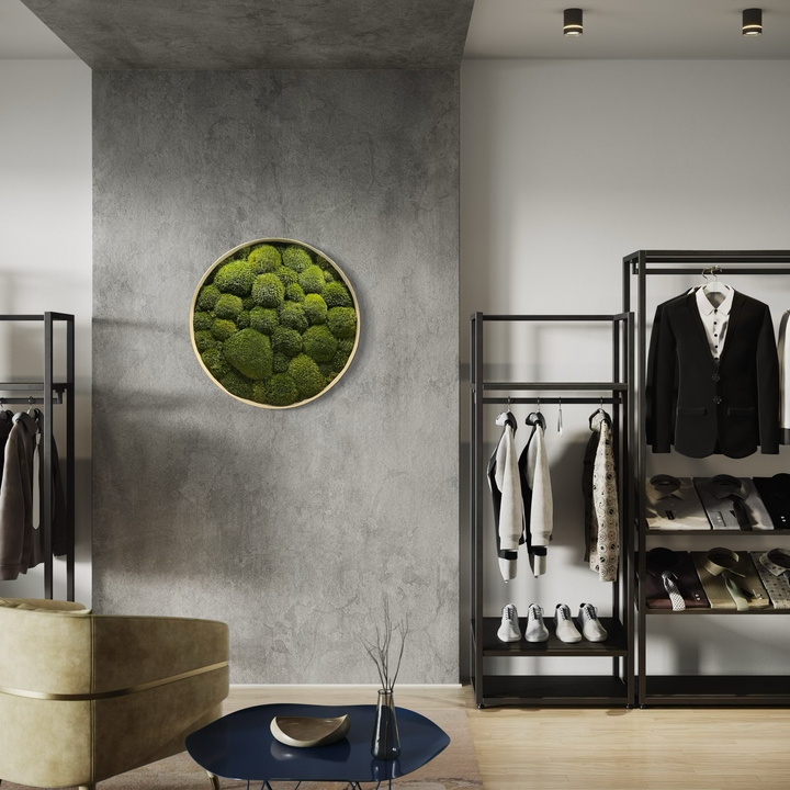 pure ball moss circle with frame in elegant and minimal wardrobe