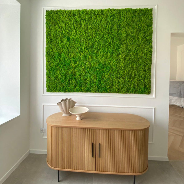 Premium green moss walls